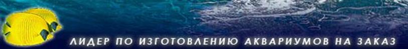 Лидер по изготовлению аквариумов назаказ